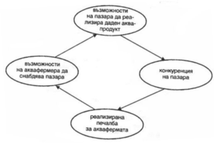 Взаимовръзка между пазара и дейността