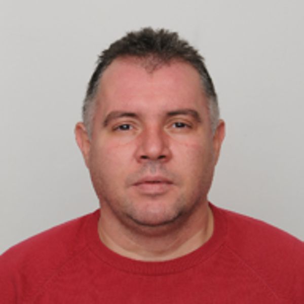 V. Krastev